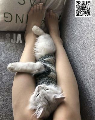 在线影院在线观看