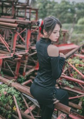 公安局长3