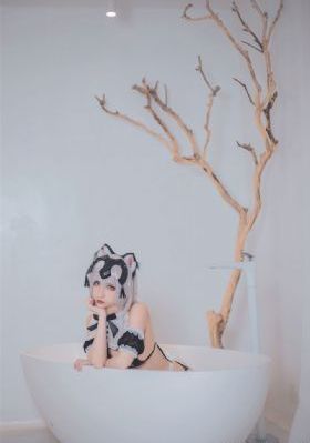 后营野营