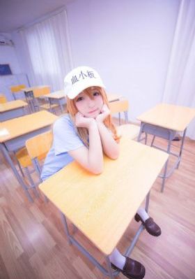 西夏死书电视剧在线